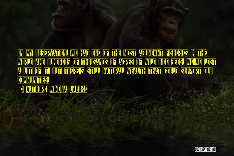 Winona LaDuke Quotes: On My Reservation, We Had One Of The Most Abundant Fisheries In The World And Hundreds Of Thousands Of Acres