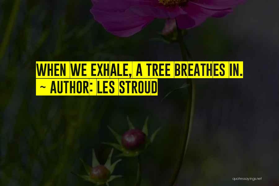 Les Stroud Quotes: When We Exhale, A Tree Breathes In.