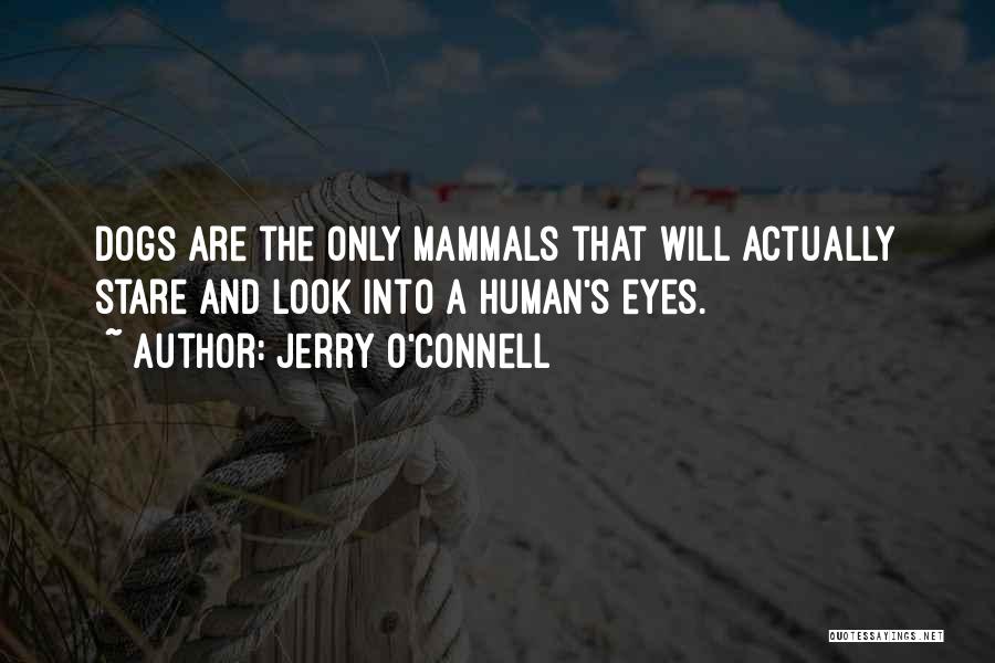Jerry O'Connell Quotes: Dogs Are The Only Mammals That Will Actually Stare And Look Into A Human's Eyes.