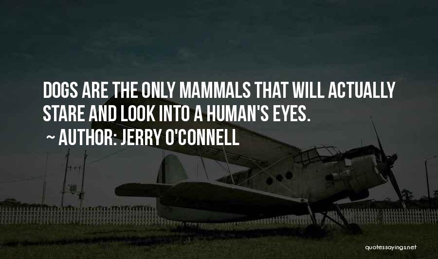 Jerry O'Connell Quotes: Dogs Are The Only Mammals That Will Actually Stare And Look Into A Human's Eyes.