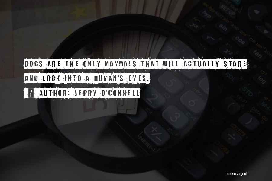 Jerry O'Connell Quotes: Dogs Are The Only Mammals That Will Actually Stare And Look Into A Human's Eyes.