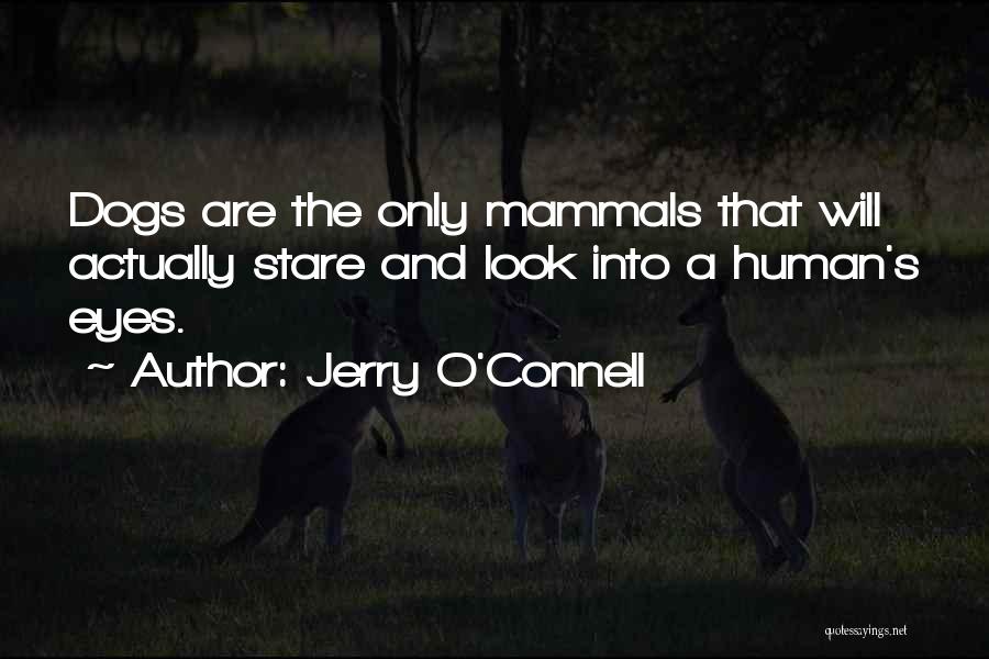 Jerry O'Connell Quotes: Dogs Are The Only Mammals That Will Actually Stare And Look Into A Human's Eyes.