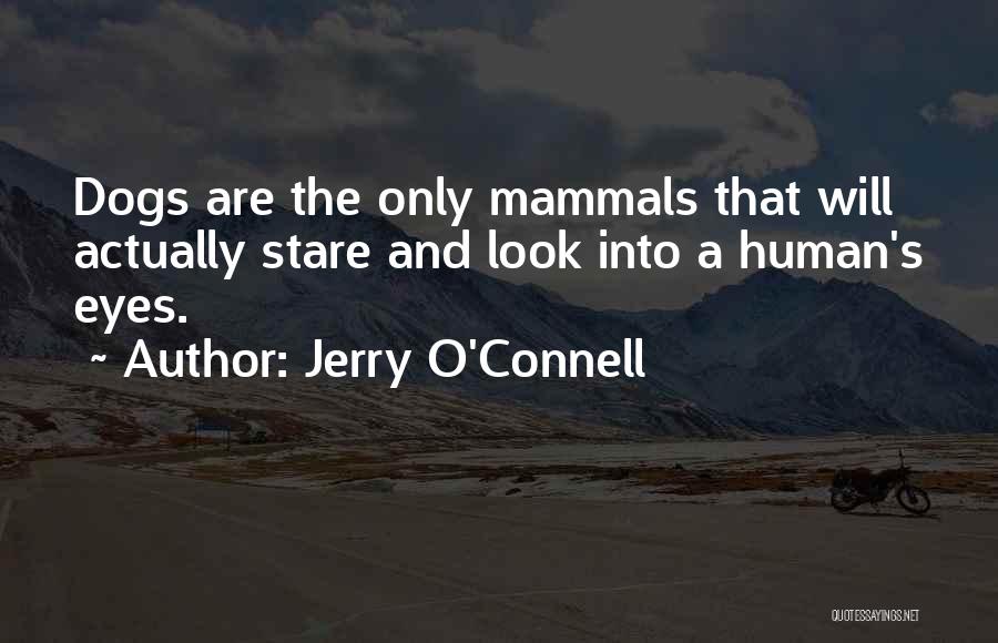 Jerry O'Connell Quotes: Dogs Are The Only Mammals That Will Actually Stare And Look Into A Human's Eyes.