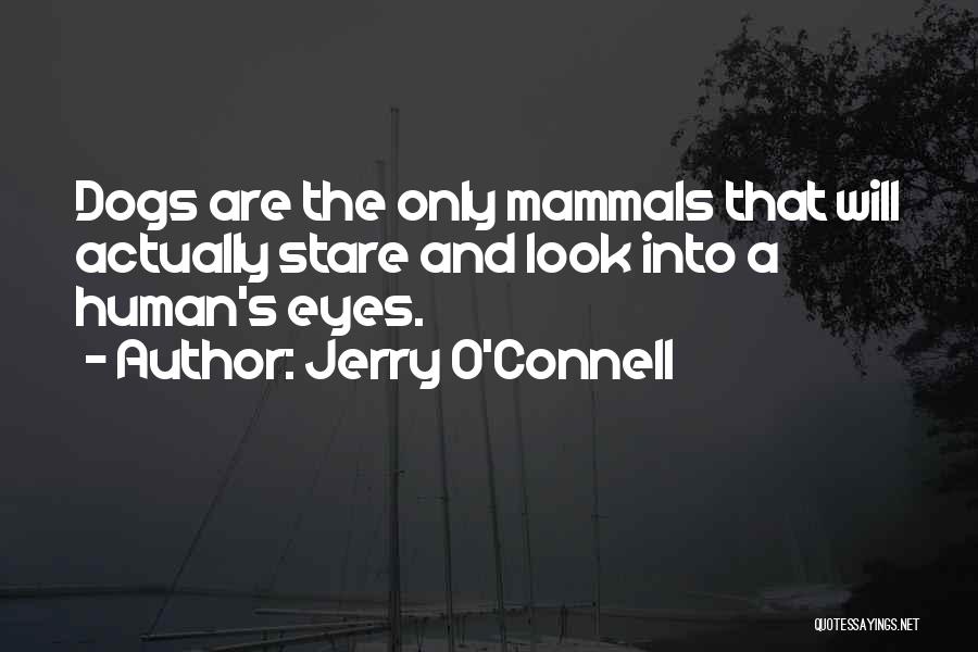 Jerry O'Connell Quotes: Dogs Are The Only Mammals That Will Actually Stare And Look Into A Human's Eyes.