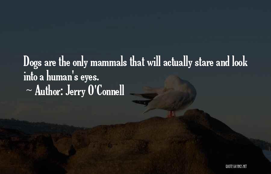 Jerry O'Connell Quotes: Dogs Are The Only Mammals That Will Actually Stare And Look Into A Human's Eyes.