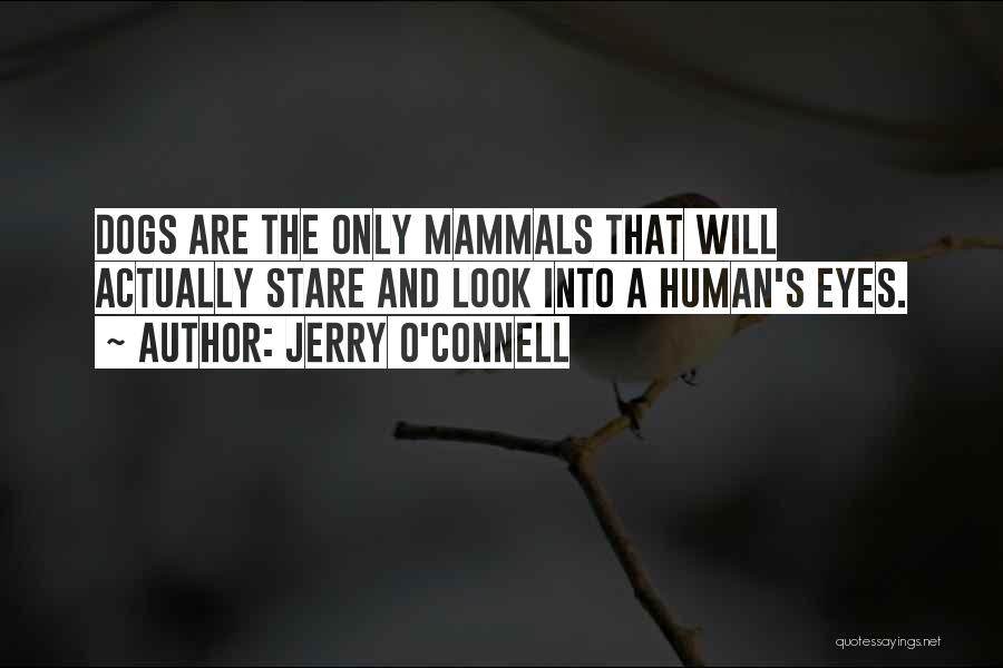 Jerry O'Connell Quotes: Dogs Are The Only Mammals That Will Actually Stare And Look Into A Human's Eyes.