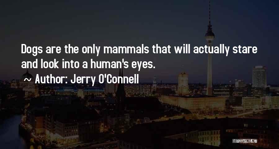 Jerry O'Connell Quotes: Dogs Are The Only Mammals That Will Actually Stare And Look Into A Human's Eyes.