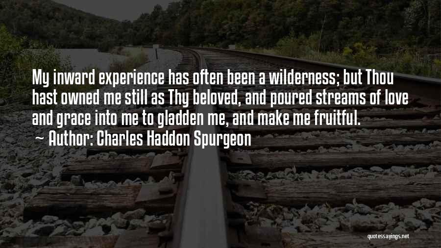 Charles Haddon Spurgeon Quotes: My Inward Experience Has Often Been A Wilderness; But Thou Hast Owned Me Still As Thy Beloved, And Poured Streams