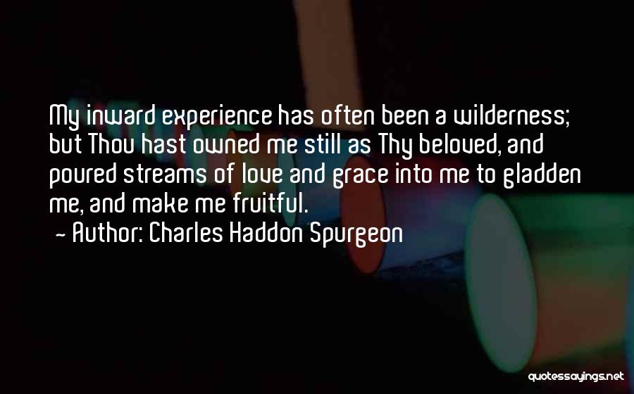 Charles Haddon Spurgeon Quotes: My Inward Experience Has Often Been A Wilderness; But Thou Hast Owned Me Still As Thy Beloved, And Poured Streams