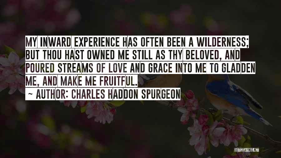 Charles Haddon Spurgeon Quotes: My Inward Experience Has Often Been A Wilderness; But Thou Hast Owned Me Still As Thy Beloved, And Poured Streams