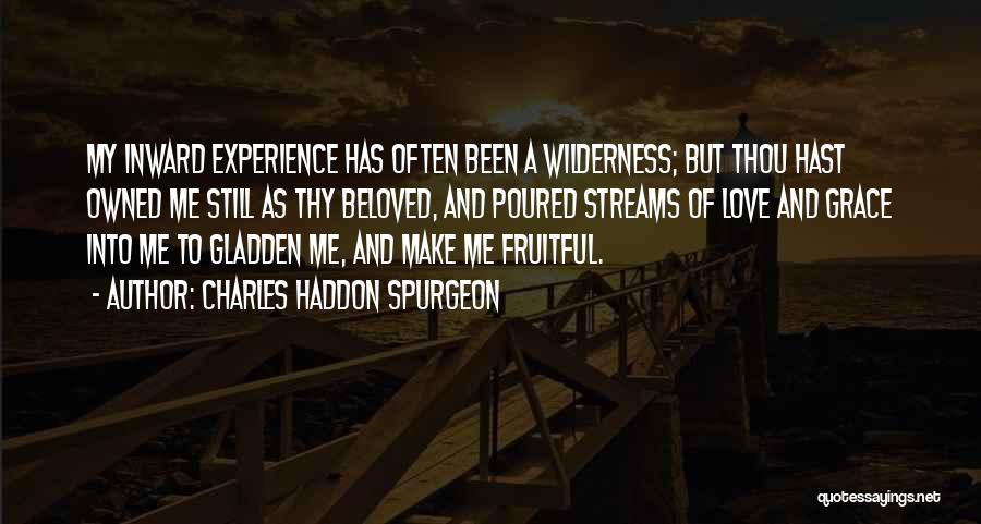 Charles Haddon Spurgeon Quotes: My Inward Experience Has Often Been A Wilderness; But Thou Hast Owned Me Still As Thy Beloved, And Poured Streams