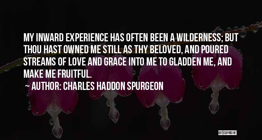 Charles Haddon Spurgeon Quotes: My Inward Experience Has Often Been A Wilderness; But Thou Hast Owned Me Still As Thy Beloved, And Poured Streams