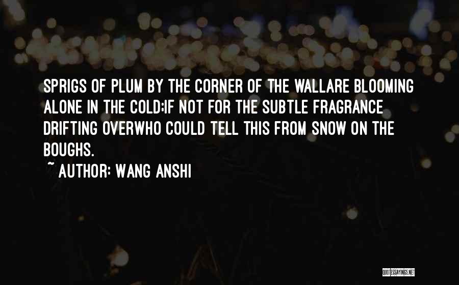 Wang Anshi Quotes: Sprigs Of Plum By The Corner Of The Wallare Blooming Alone In The Cold;if Not For The Subtle Fragrance Drifting