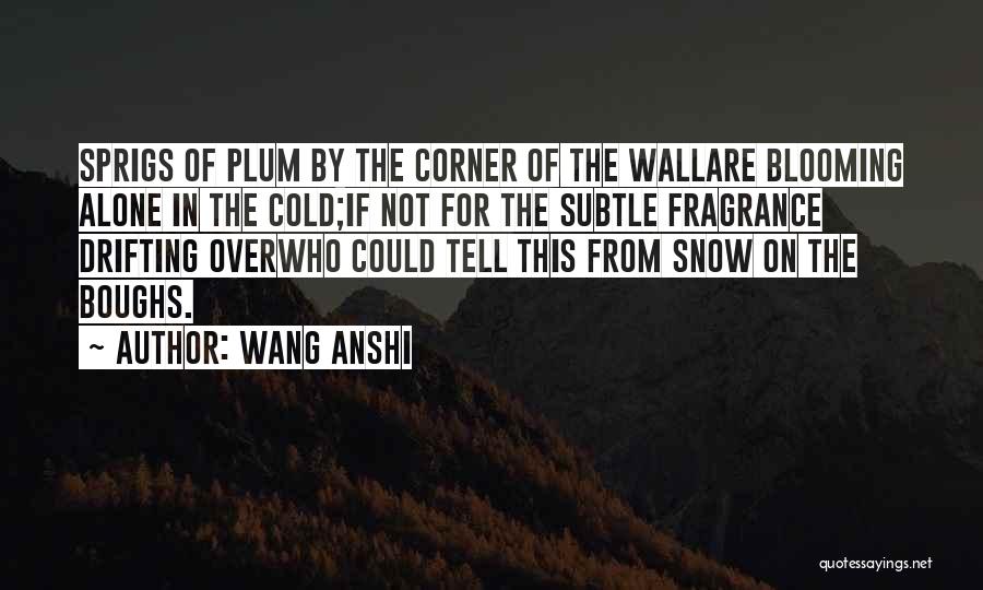 Wang Anshi Quotes: Sprigs Of Plum By The Corner Of The Wallare Blooming Alone In The Cold;if Not For The Subtle Fragrance Drifting