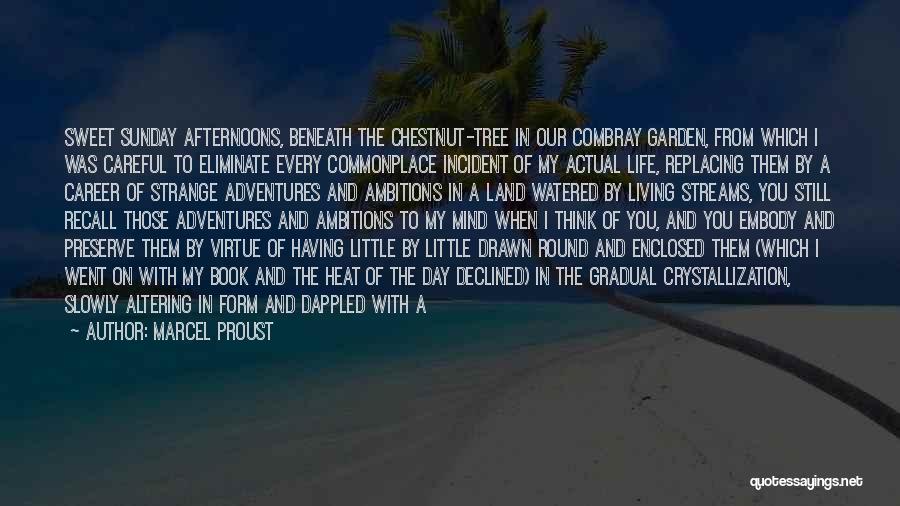 Marcel Proust Quotes: Sweet Sunday Afternoons, Beneath The Chestnut-tree In Our Combray Garden, From Which I Was Careful To Eliminate Every Commonplace Incident
