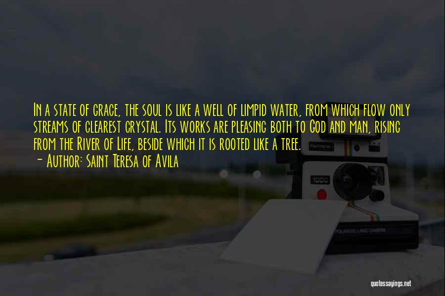 Saint Teresa Of Avila Quotes: In A State Of Grace, The Soul Is Like A Well Of Limpid Water, From Which Flow Only Streams Of