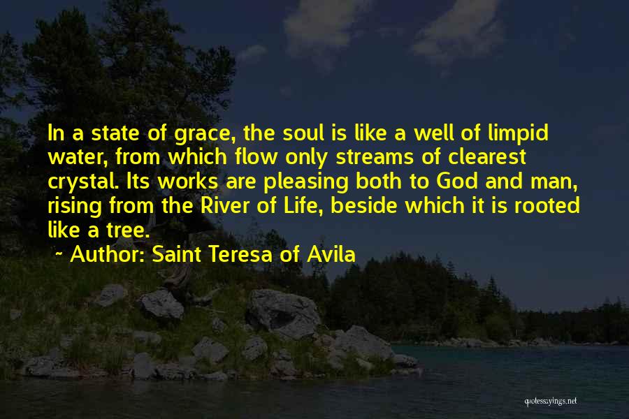 Saint Teresa Of Avila Quotes: In A State Of Grace, The Soul Is Like A Well Of Limpid Water, From Which Flow Only Streams Of