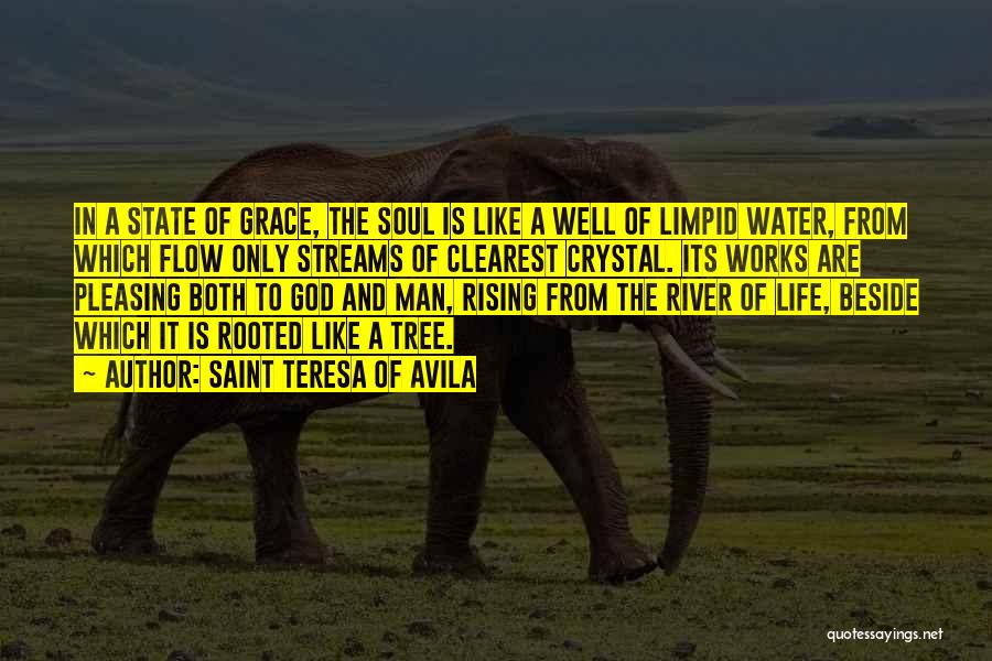 Saint Teresa Of Avila Quotes: In A State Of Grace, The Soul Is Like A Well Of Limpid Water, From Which Flow Only Streams Of