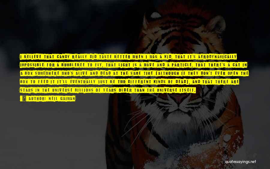 Neil Gaiman Quotes: I Believe That Candy Really Did Taste Better When I Was A Kid, That It's Aerodynamically Impossible For A Bumblebee