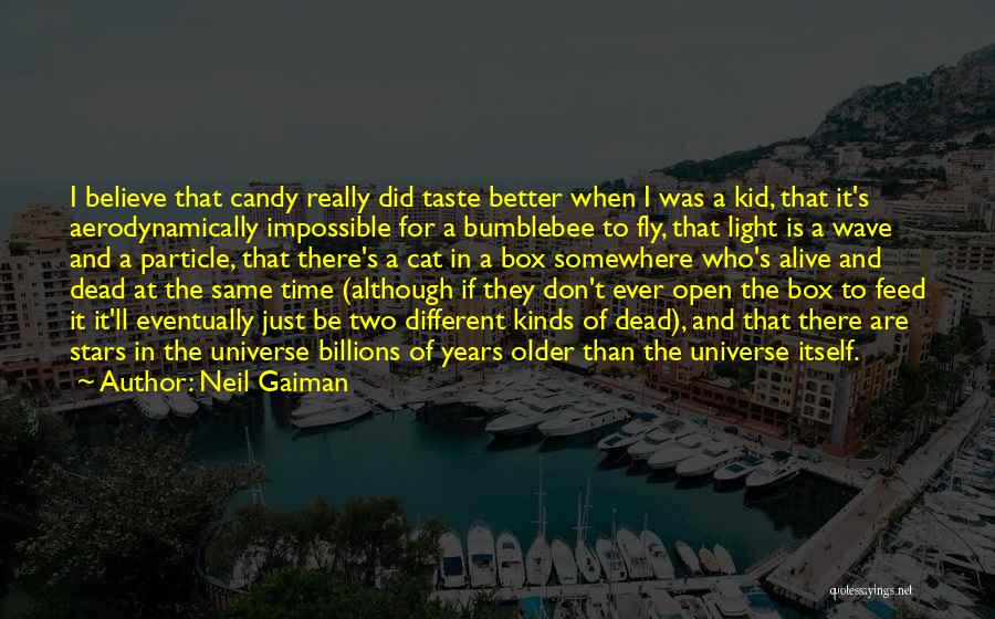 Neil Gaiman Quotes: I Believe That Candy Really Did Taste Better When I Was A Kid, That It's Aerodynamically Impossible For A Bumblebee