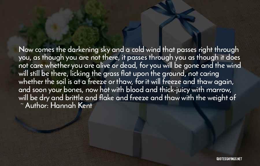 Hannah Kent Quotes: Now Comes The Darkening Sky And A Cold Wind That Passes Right Through You, As Though You Are Not There,