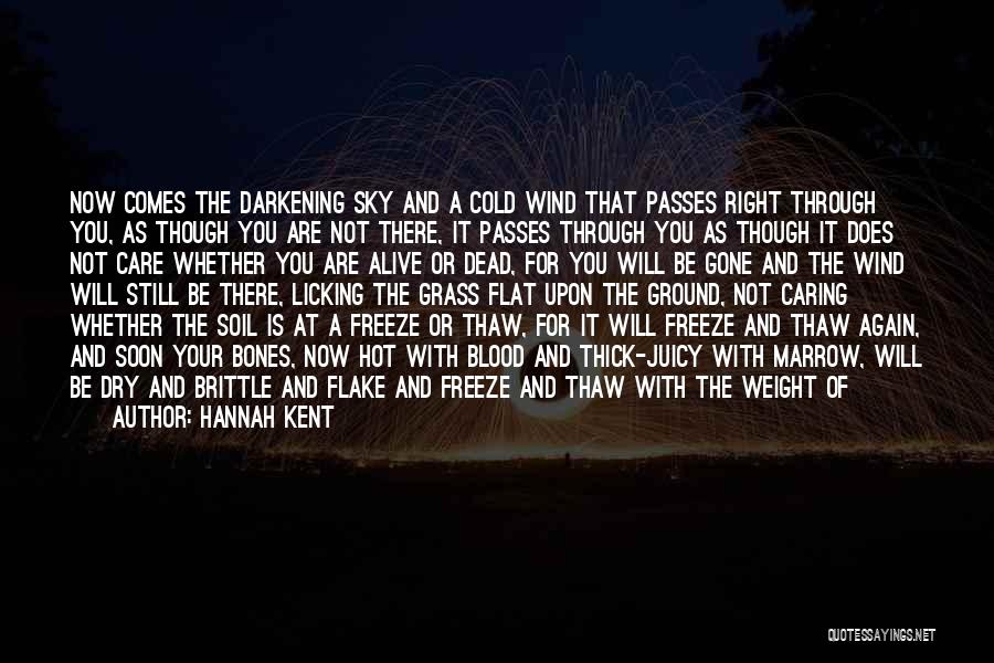 Hannah Kent Quotes: Now Comes The Darkening Sky And A Cold Wind That Passes Right Through You, As Though You Are Not There,