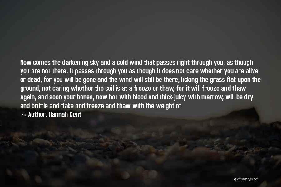 Hannah Kent Quotes: Now Comes The Darkening Sky And A Cold Wind That Passes Right Through You, As Though You Are Not There,