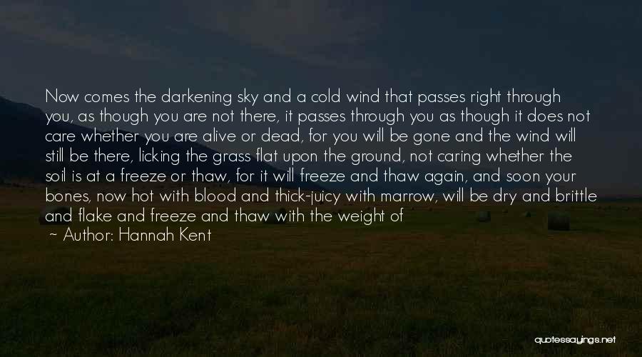 Hannah Kent Quotes: Now Comes The Darkening Sky And A Cold Wind That Passes Right Through You, As Though You Are Not There,