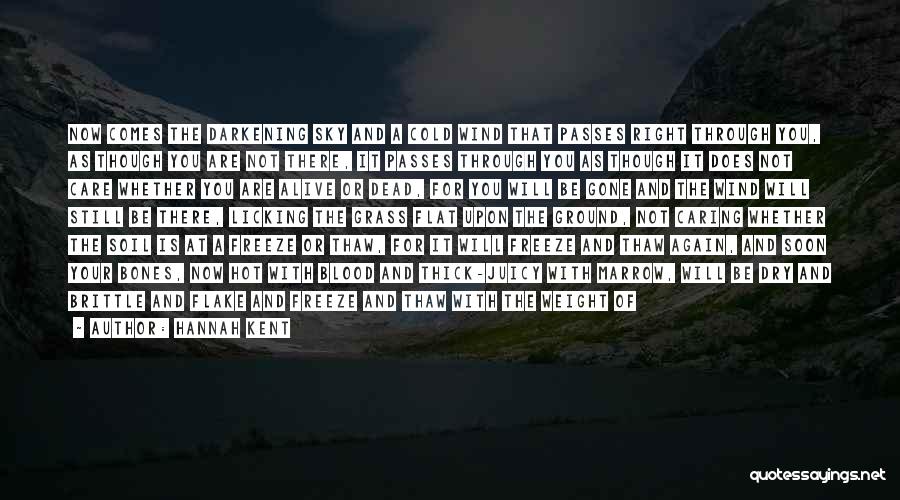 Hannah Kent Quotes: Now Comes The Darkening Sky And A Cold Wind That Passes Right Through You, As Though You Are Not There,