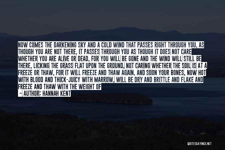 Hannah Kent Quotes: Now Comes The Darkening Sky And A Cold Wind That Passes Right Through You, As Though You Are Not There,