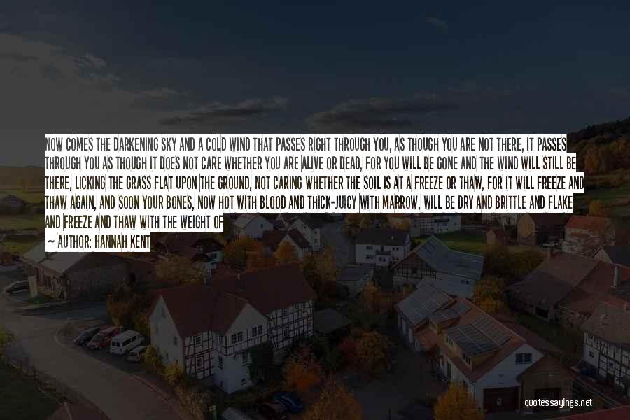 Hannah Kent Quotes: Now Comes The Darkening Sky And A Cold Wind That Passes Right Through You, As Though You Are Not There,