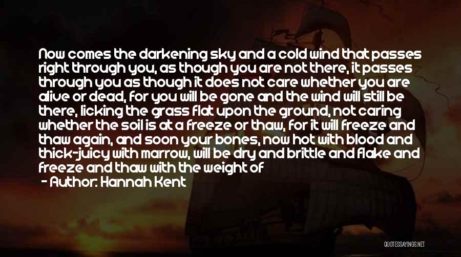 Hannah Kent Quotes: Now Comes The Darkening Sky And A Cold Wind That Passes Right Through You, As Though You Are Not There,