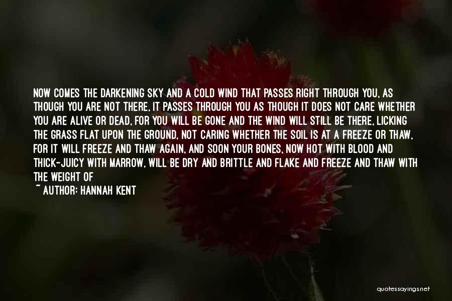 Hannah Kent Quotes: Now Comes The Darkening Sky And A Cold Wind That Passes Right Through You, As Though You Are Not There,