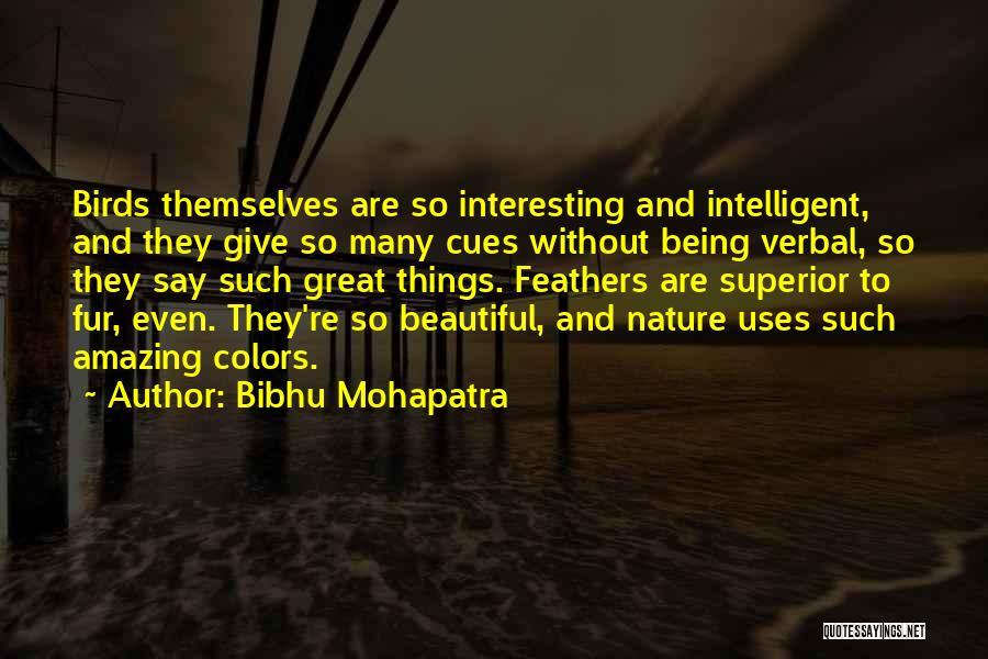 Bibhu Mohapatra Quotes: Birds Themselves Are So Interesting And Intelligent, And They Give So Many Cues Without Being Verbal, So They Say Such
