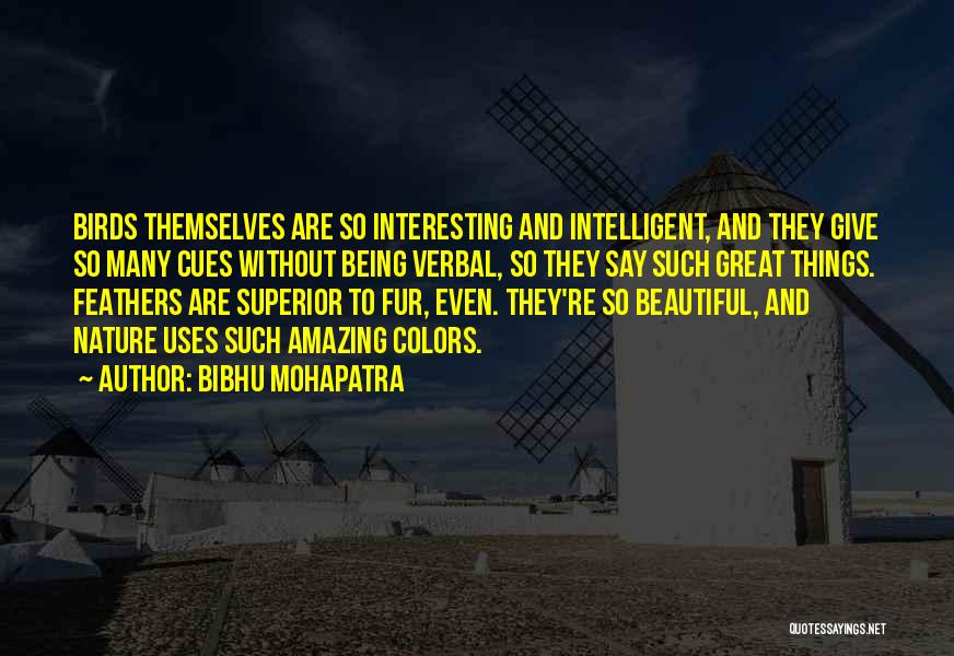 Bibhu Mohapatra Quotes: Birds Themselves Are So Interesting And Intelligent, And They Give So Many Cues Without Being Verbal, So They Say Such