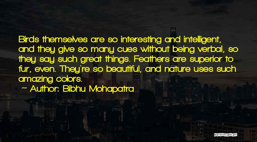 Bibhu Mohapatra Quotes: Birds Themselves Are So Interesting And Intelligent, And They Give So Many Cues Without Being Verbal, So They Say Such