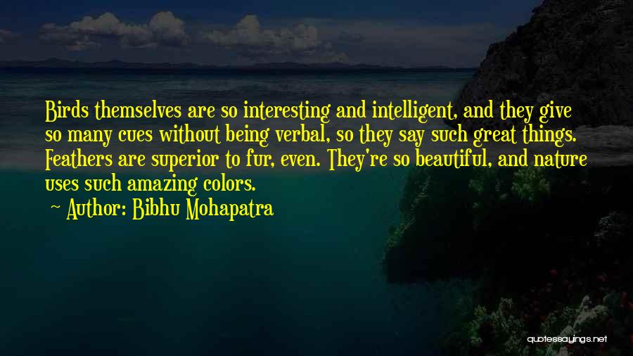 Bibhu Mohapatra Quotes: Birds Themselves Are So Interesting And Intelligent, And They Give So Many Cues Without Being Verbal, So They Say Such