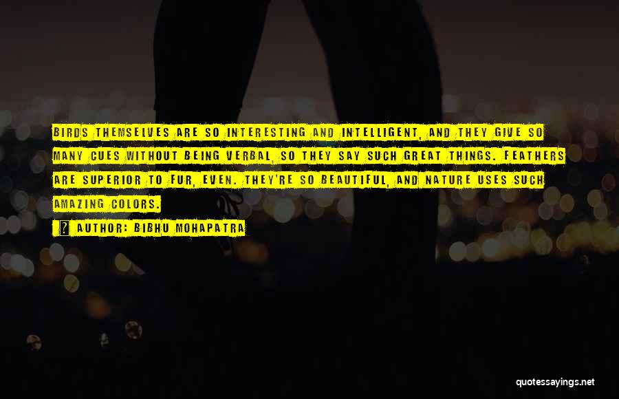 Bibhu Mohapatra Quotes: Birds Themselves Are So Interesting And Intelligent, And They Give So Many Cues Without Being Verbal, So They Say Such
