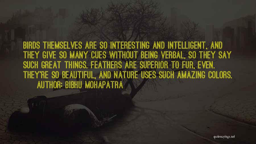 Bibhu Mohapatra Quotes: Birds Themselves Are So Interesting And Intelligent, And They Give So Many Cues Without Being Verbal, So They Say Such
