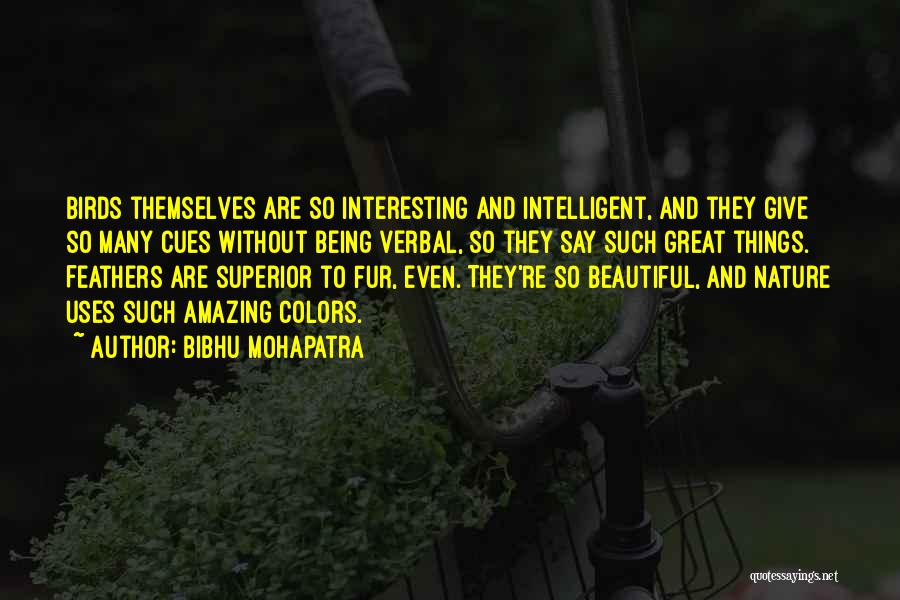 Bibhu Mohapatra Quotes: Birds Themselves Are So Interesting And Intelligent, And They Give So Many Cues Without Being Verbal, So They Say Such