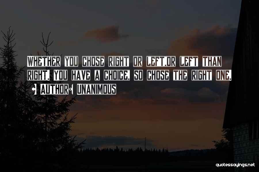 Unanimous Quotes: Whether You Chose Right Or Left,or Left Than Right. You Have A Choice, So Chose The Right One.