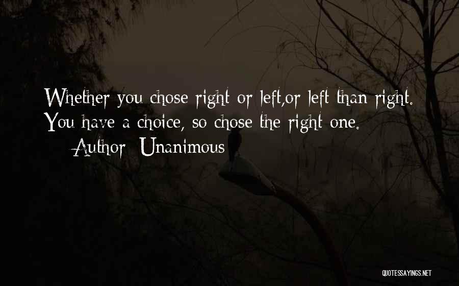 Unanimous Quotes: Whether You Chose Right Or Left,or Left Than Right. You Have A Choice, So Chose The Right One.
