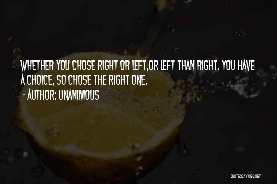 Unanimous Quotes: Whether You Chose Right Or Left,or Left Than Right. You Have A Choice, So Chose The Right One.