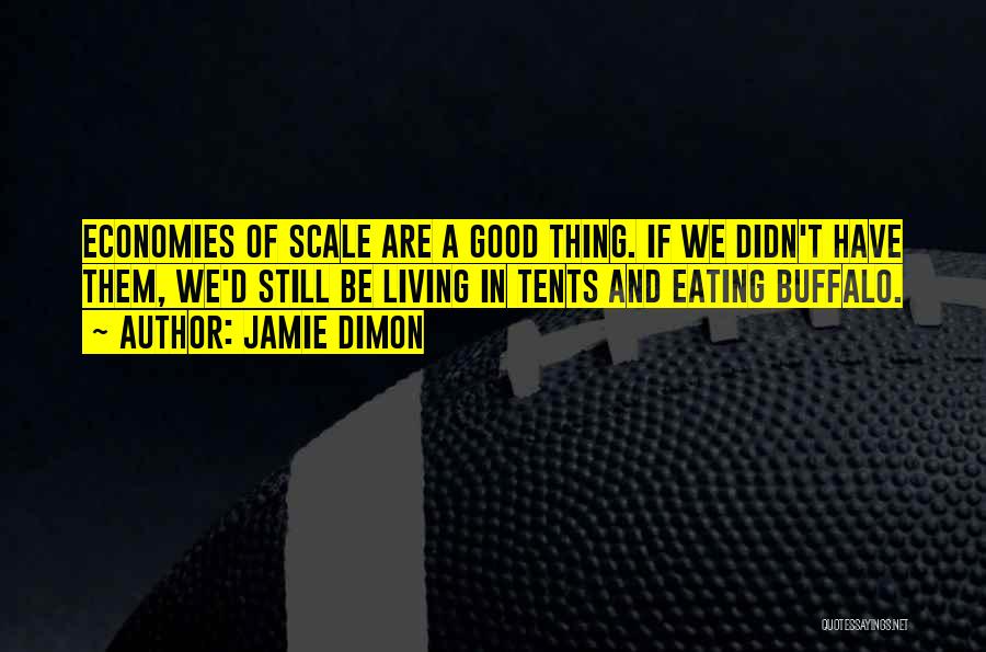 Jamie Dimon Quotes: Economies Of Scale Are A Good Thing. If We Didn't Have Them, We'd Still Be Living In Tents And Eating