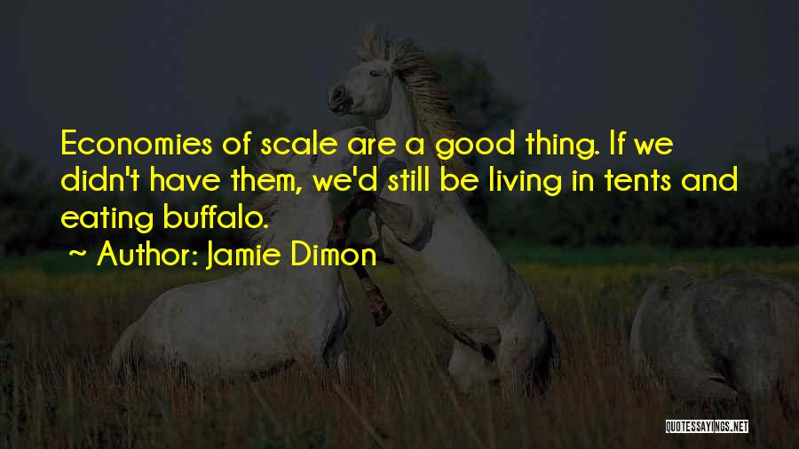 Jamie Dimon Quotes: Economies Of Scale Are A Good Thing. If We Didn't Have Them, We'd Still Be Living In Tents And Eating