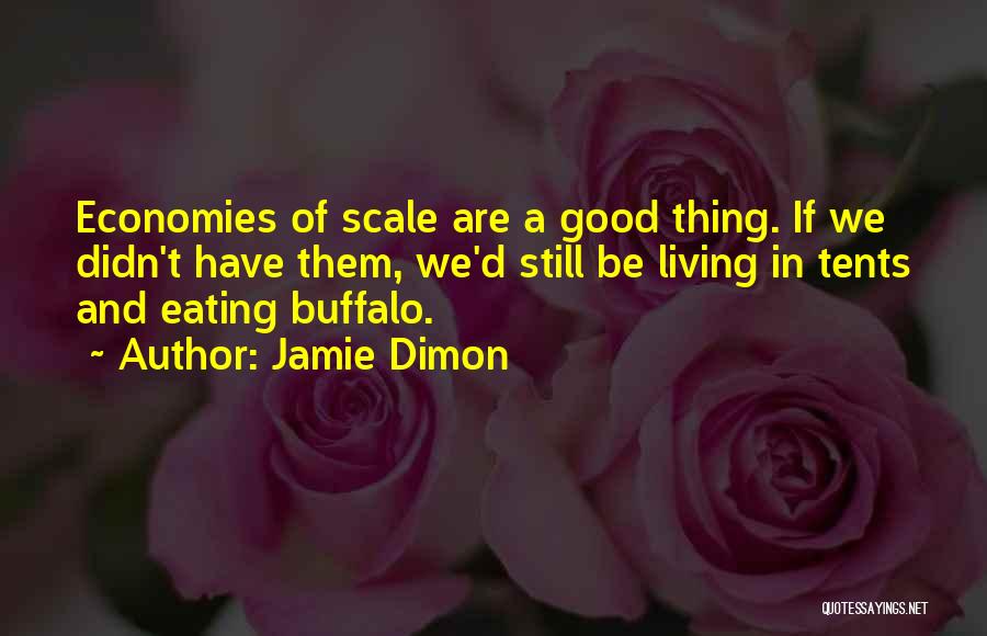 Jamie Dimon Quotes: Economies Of Scale Are A Good Thing. If We Didn't Have Them, We'd Still Be Living In Tents And Eating