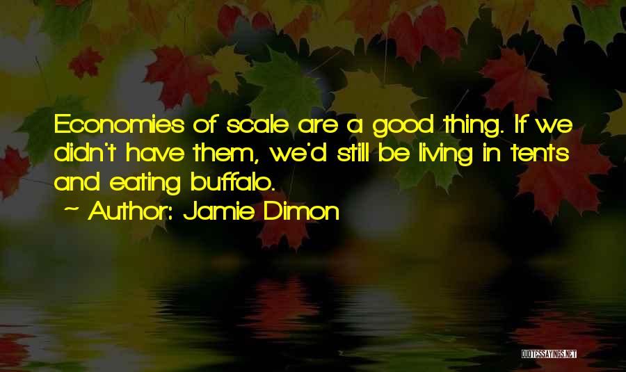 Jamie Dimon Quotes: Economies Of Scale Are A Good Thing. If We Didn't Have Them, We'd Still Be Living In Tents And Eating