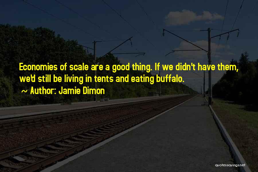 Jamie Dimon Quotes: Economies Of Scale Are A Good Thing. If We Didn't Have Them, We'd Still Be Living In Tents And Eating