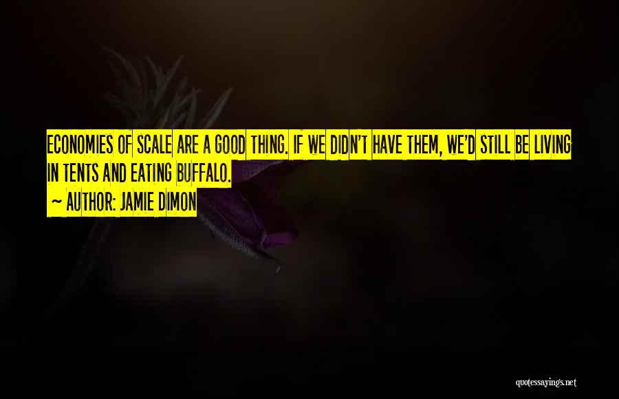 Jamie Dimon Quotes: Economies Of Scale Are A Good Thing. If We Didn't Have Them, We'd Still Be Living In Tents And Eating