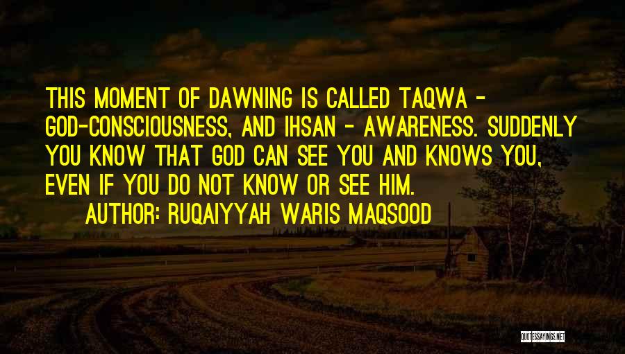 Ruqaiyyah Waris Maqsood Quotes: This Moment Of Dawning Is Called Taqwa - God-consciousness, And Ihsan - Awareness. Suddenly You Know That God Can See